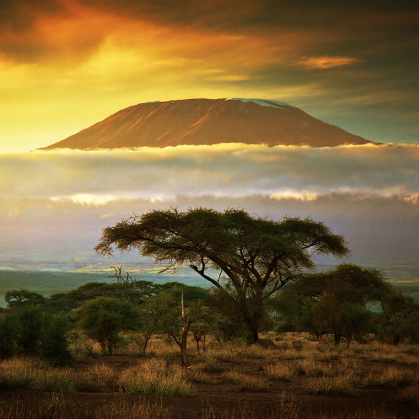 Mt Kilimanjaro rises above the clouds at sunset, Tanzania Africa