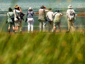 Senior tourists on Lake Manyara photo safari, Tanzania Africa