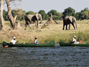 Canoe Tour Tanzania Africa