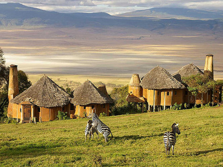 Ngorongoro Crater Lodge with Zebras Frolicking